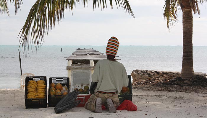 how to call a belize number from america