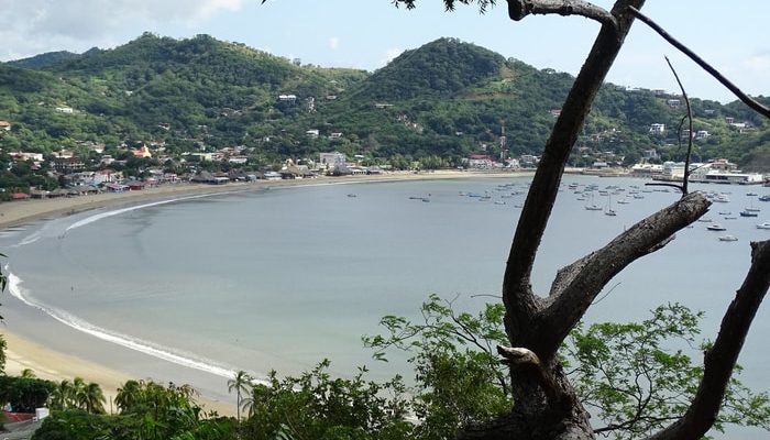 San Juan del Sur - Bugs in Nicaragua