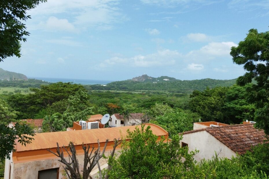 Bugs in Nicaragua