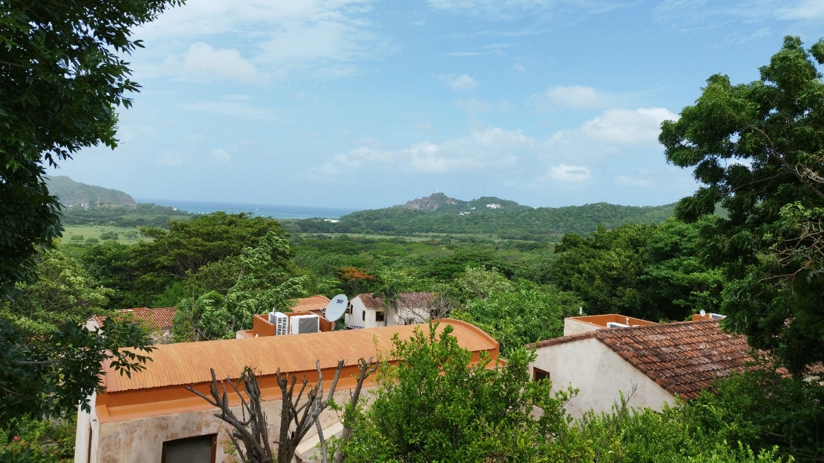 Bugs in Nicaragua