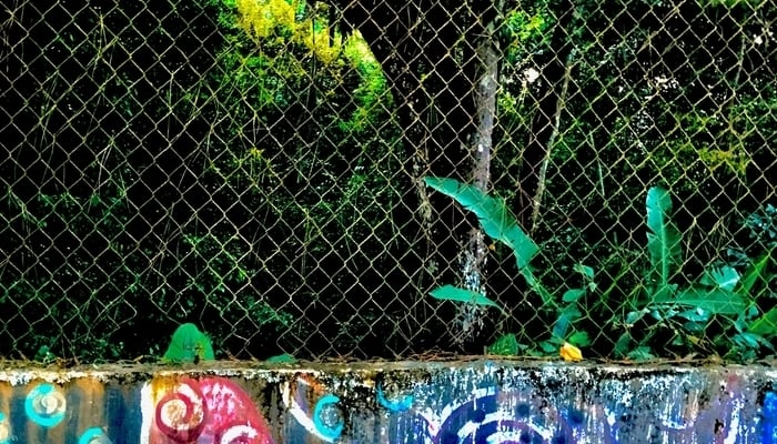 El Dorado, Panama City: The Metropolitan National Park beyond the fence / Lee Elliott El Dorado, Panama City: The Metropolitan National Park beyond the fence