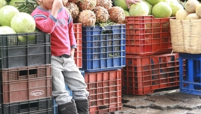 Grocery shopping in Antigua Guatemala: The fruit and veg section / Carlos Adampol Galindo (Flickr) / Commercial use allowed Grocery shopping in Antigua Guatemala: The fruit and veg section