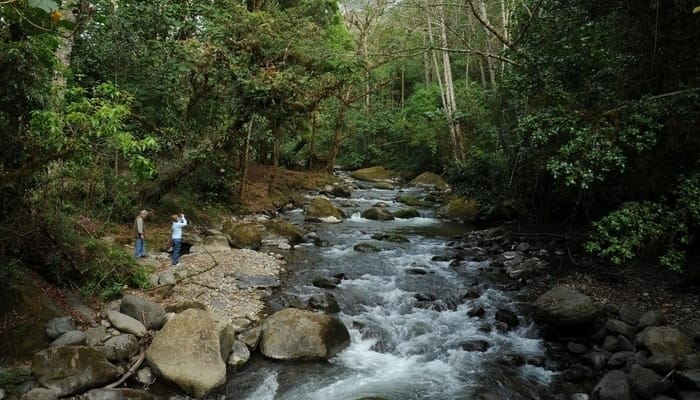 San Gerardo de Dota, Costa Rica: Trogon Lodge hiking trail / Trogon Lodge Facebook Page San Gerardo de Dota, Costa Rica: Trogon Lodge hiking trail