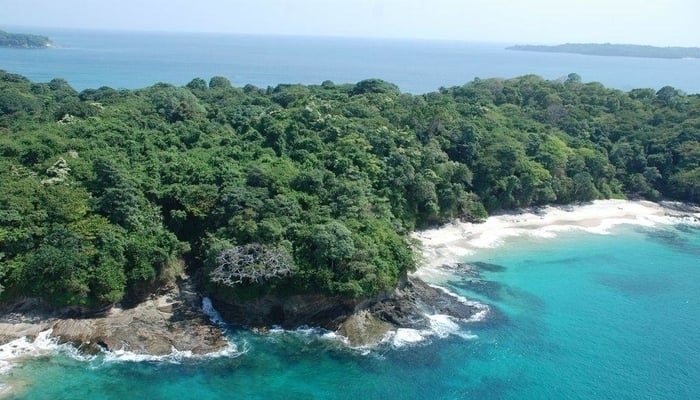 Isla Saboga - direct by ferry from Punta Pacifica, Panama City / Isla Saboga Facebook page Isla Saboga - direct by ferry from Punta Pacifica, Panama City
