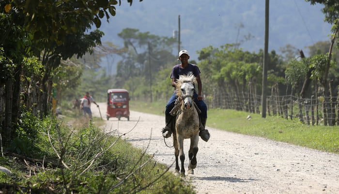 Roads in Central America: A man and his horse on the road near Cuyamel, Honduras 