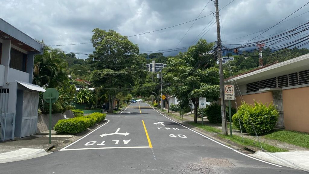 Bringing a Dog to Costa Rica