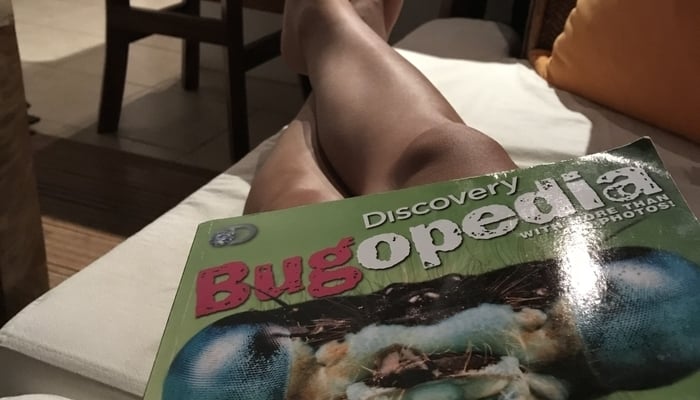 Nature in Costa Rica: Bugopedia Book - The new family Bible / Robin Kapiloff Nature in Costa Rica: Bugopedia Book - The new family Bible