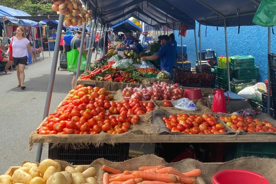 Vegetarian food in Costa Rica