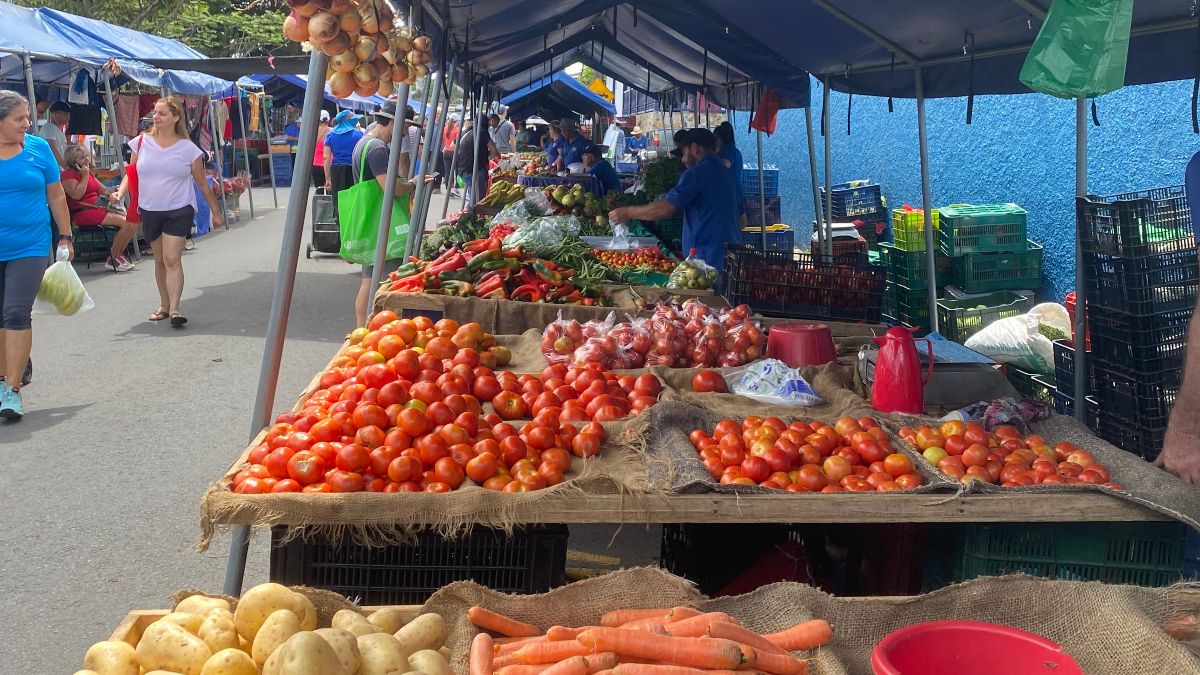 Vegetarian food in Costa Rica