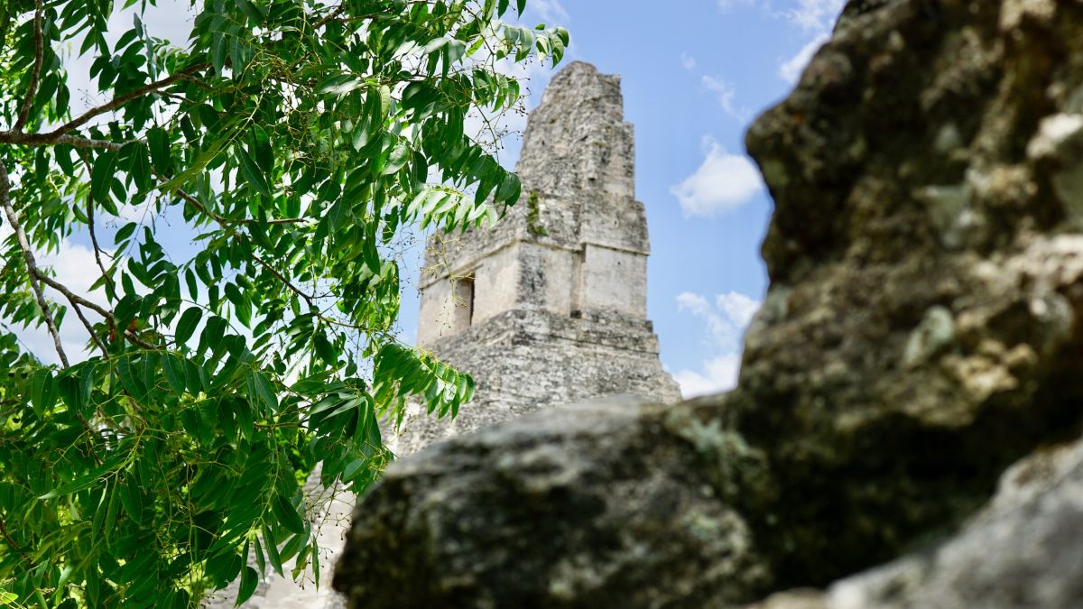 Tikal National Park