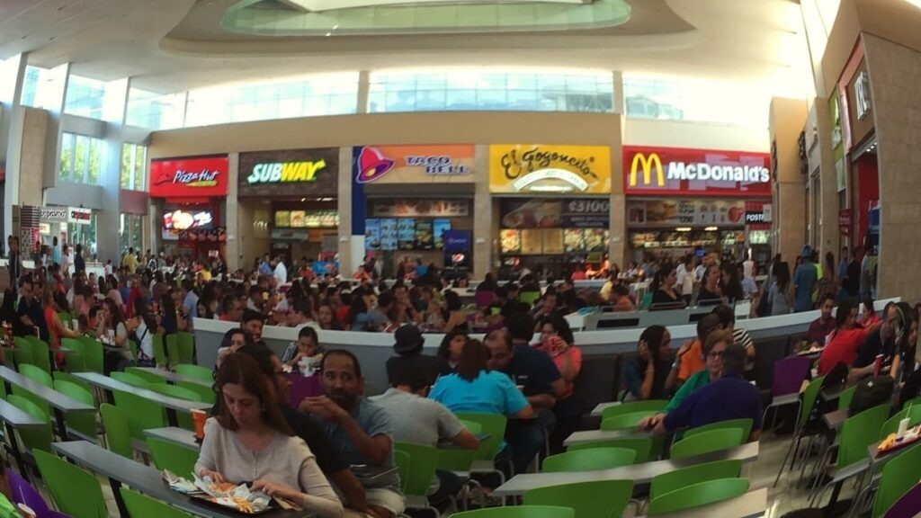 Bringing A Dog To Costa Rica? 10 Things To Know