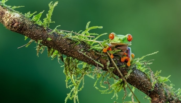 Central America Tourism / Photo by William Warby on Unsplash