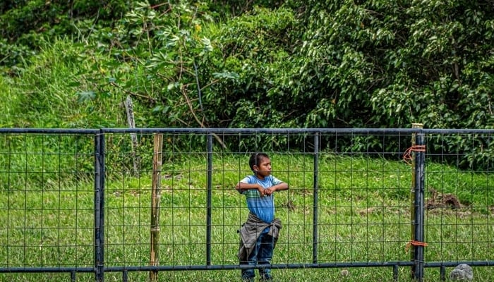 Lockdown Panama Belize / Photo by fran hogan on Unsplash