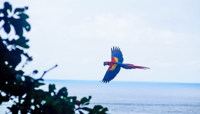 Tourism industry in Costa Rica / Photo by Dan Hadfield on Unsplash