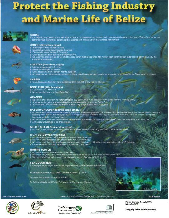 Fishing in Belize regulations