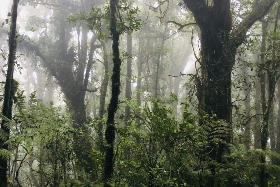 Hiking in Honduras