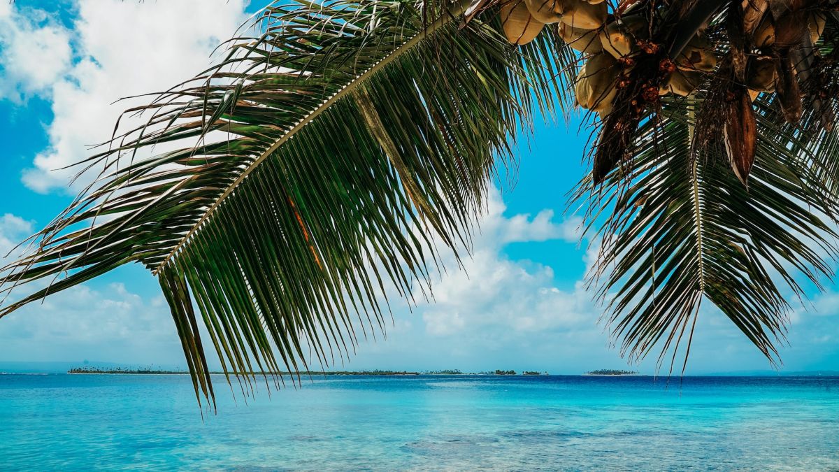 Life In El Dorado, Panama City | centralamerica.com