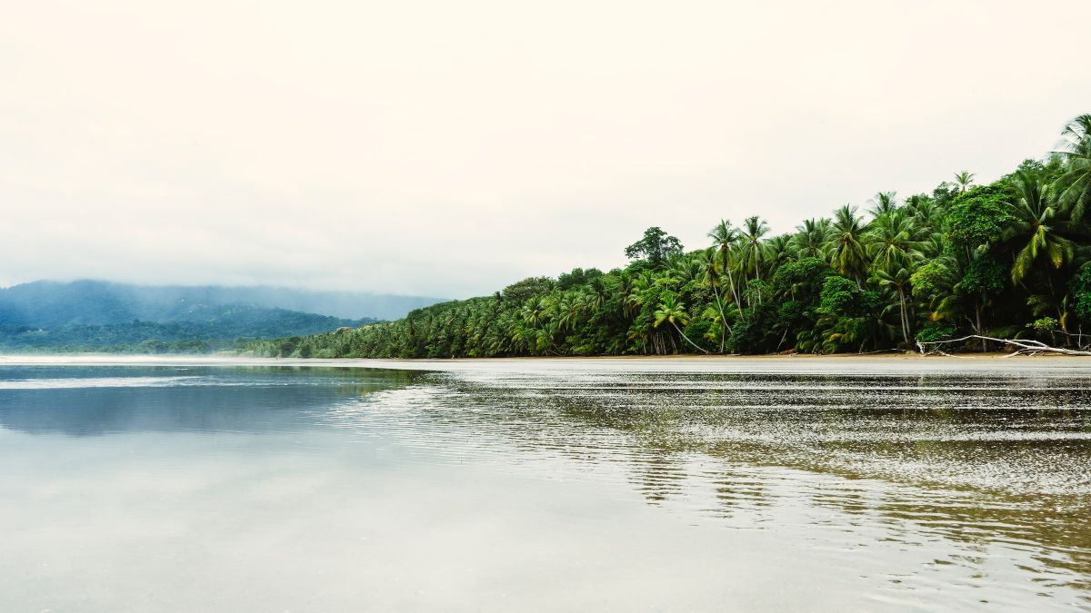 Freelancing tips in Central America