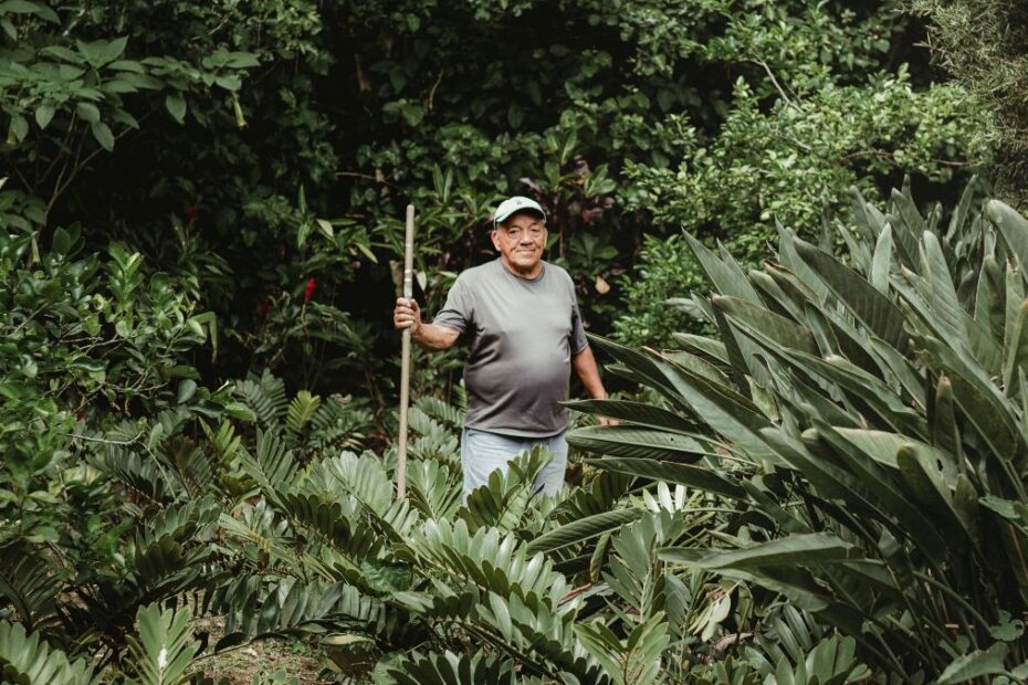 Central America jobs