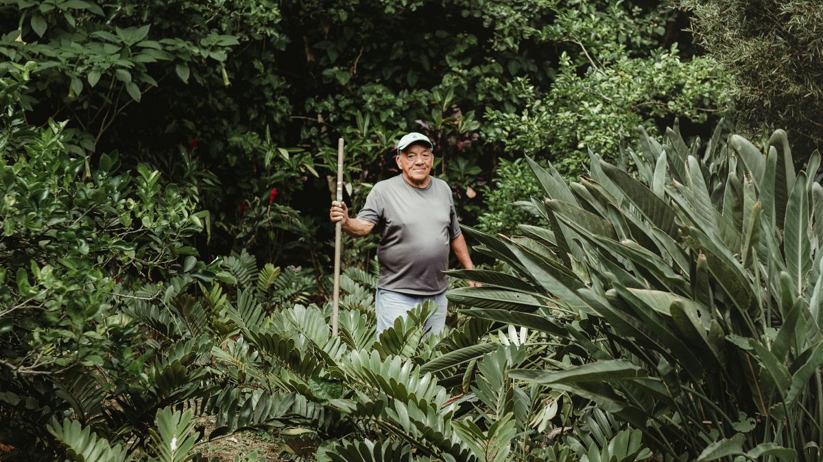 Central America jobs
