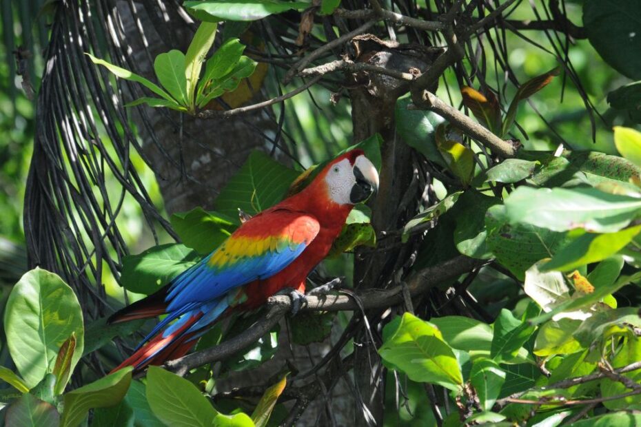 Remote national parks in Central America