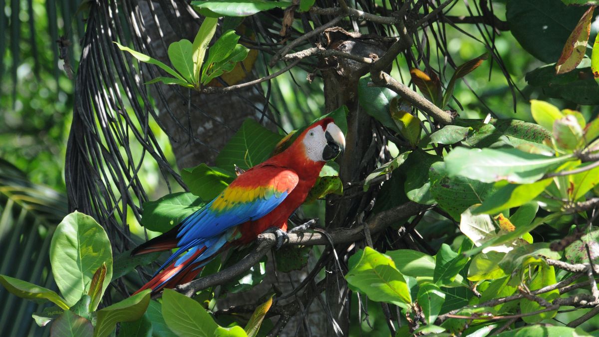 Remote national parks in Central America