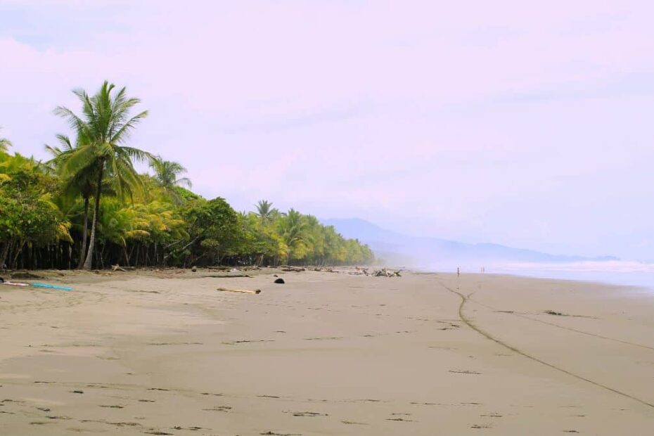 Remote work in Central America