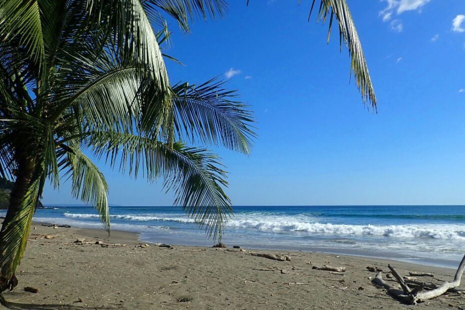 Mental health abroad