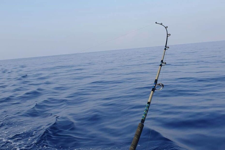 FAD fishing Costa Rica