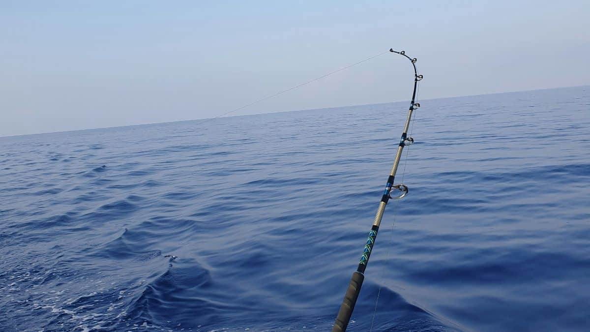 FAD fishing Costa Rica