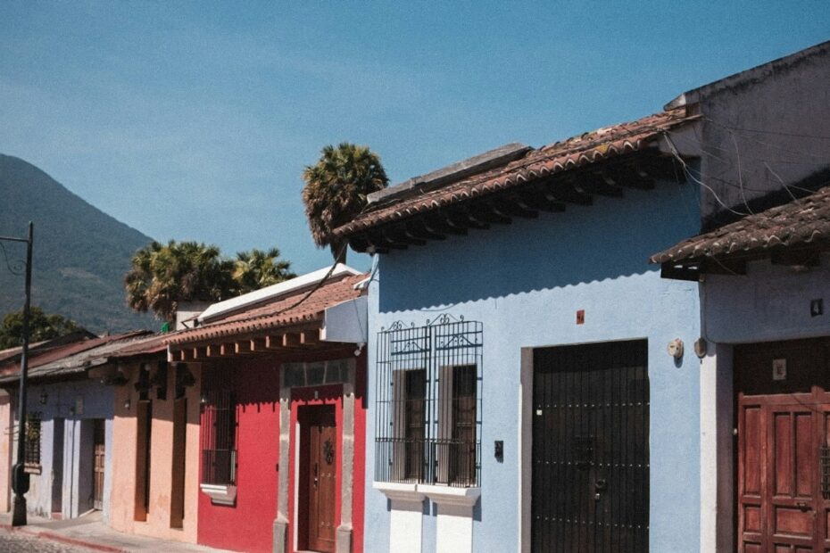 Expat business ideas