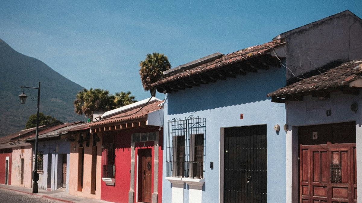 Expat business ideas