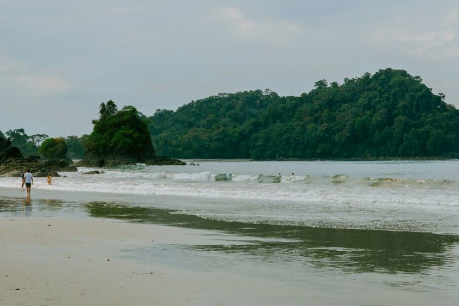 No-see-ums in Central America