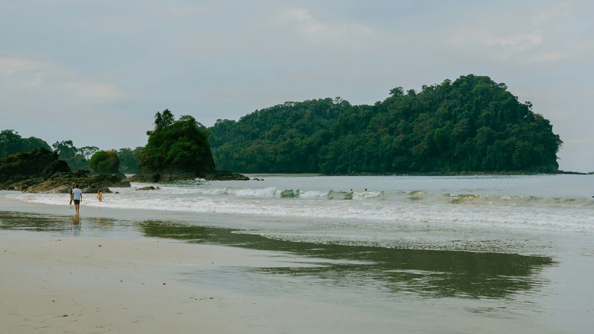 No-see-ums in Central America